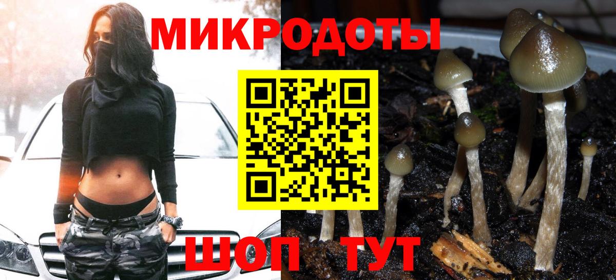Галлюциногенные грибы Psilocybe  Вход с VPN  Курчатов 